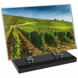 Vigne décor avec texte 23