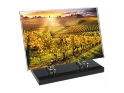 Vigne décor avec texte 22