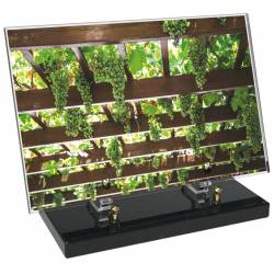 Vigne décor avec texte 8