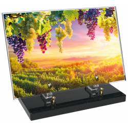 Vigne décor avec texte 27