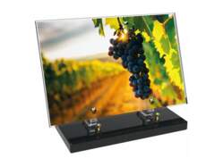 Vigne décor avec texte 21