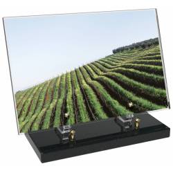 Vigne décor avec texte 7