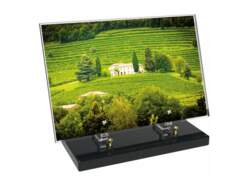 Vigne décor avec texte 5