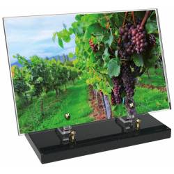 Vigne décor avec texte 12