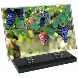 Vigne décor avec texte 10