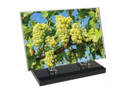 Vigne décor avec texte 2