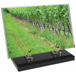 Vigne décor avec texte 4