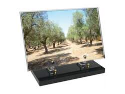 Provence décor 9 avec texte