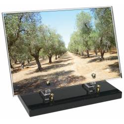 Provence décor 9