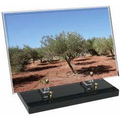 Provence décor 11