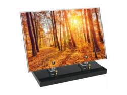 Nature décor 9 avec texte