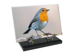 Animaux décor 82 avec texte