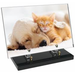 Animaux décor 58 avec texte