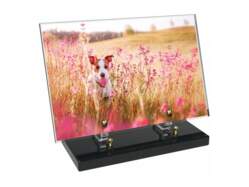 Animaux décor 47 avec texte