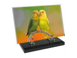 Animaux décor 75 avec texte