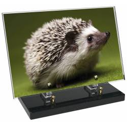 Animaux décor 68 avec texte
