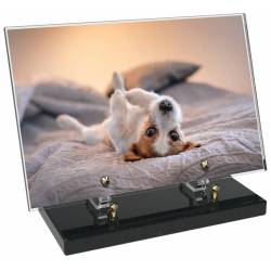 Animaux décor 50 avec texte