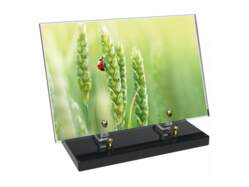 Animaux décor 53 avec texte