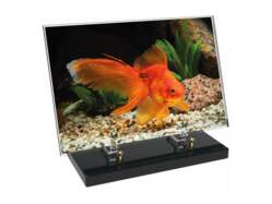 Animaux décor 61 avec texte