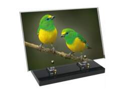 Animaux décor 86 avec texte