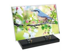 Animaux décor 42 avec texte