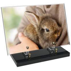 Animaux décor 63 avec texte