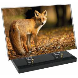 Animaux décor 52 avec texte