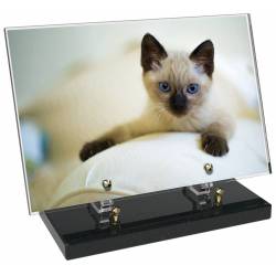 Animaux décor 33 avec texte