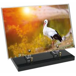 Animaux décor 72 avec texte