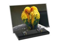 Animaux décor 71 avec texte