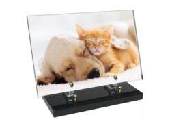 Animaux décor 58 avec texte