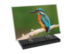 Animaux décor 88 avec texte