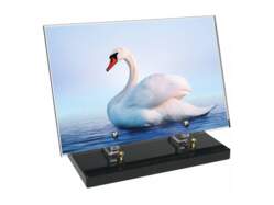 Animaux décor 77 avec texte