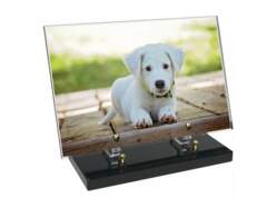 Animaux décor 34 avec texte