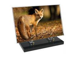 Animaux décor 52 avec texte