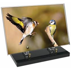 Animaux décor 39 avec texte