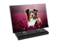 Animaux décor 62 avec texte