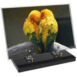 Animaux décor 71 avec texte
