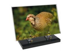 Animaux décor 93 avec texte