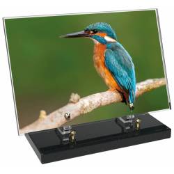 Animaux décor 88 avec texte