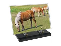 Animaux décor 36 avec texte