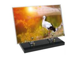 Animaux décor 72 avec texte