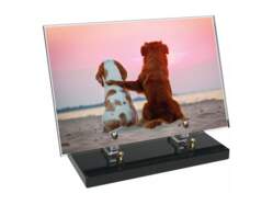 Animaux décor 56 avec texte