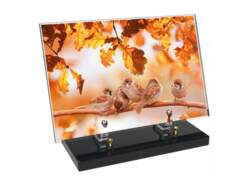 Animaux décor 97 avec texte