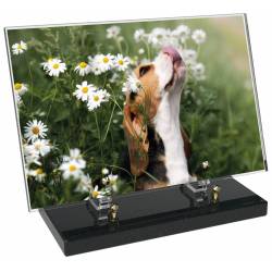 Animaux décor 66 avec texte
