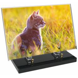 Animaux décor 54 avec texte