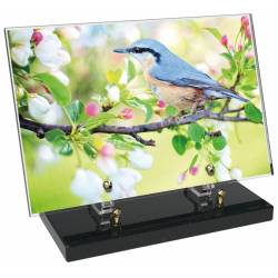 Animaux décor 42 avec texte
