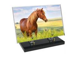 Animaux décor 49 avec texte