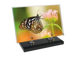 Animaux décor 31 avec texte