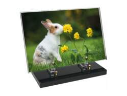 Animaux décor 51 avec texte